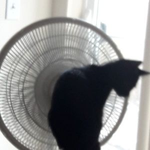 Meet your Posher, Tina